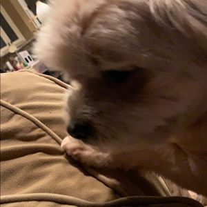 Meet your Posher, Robert